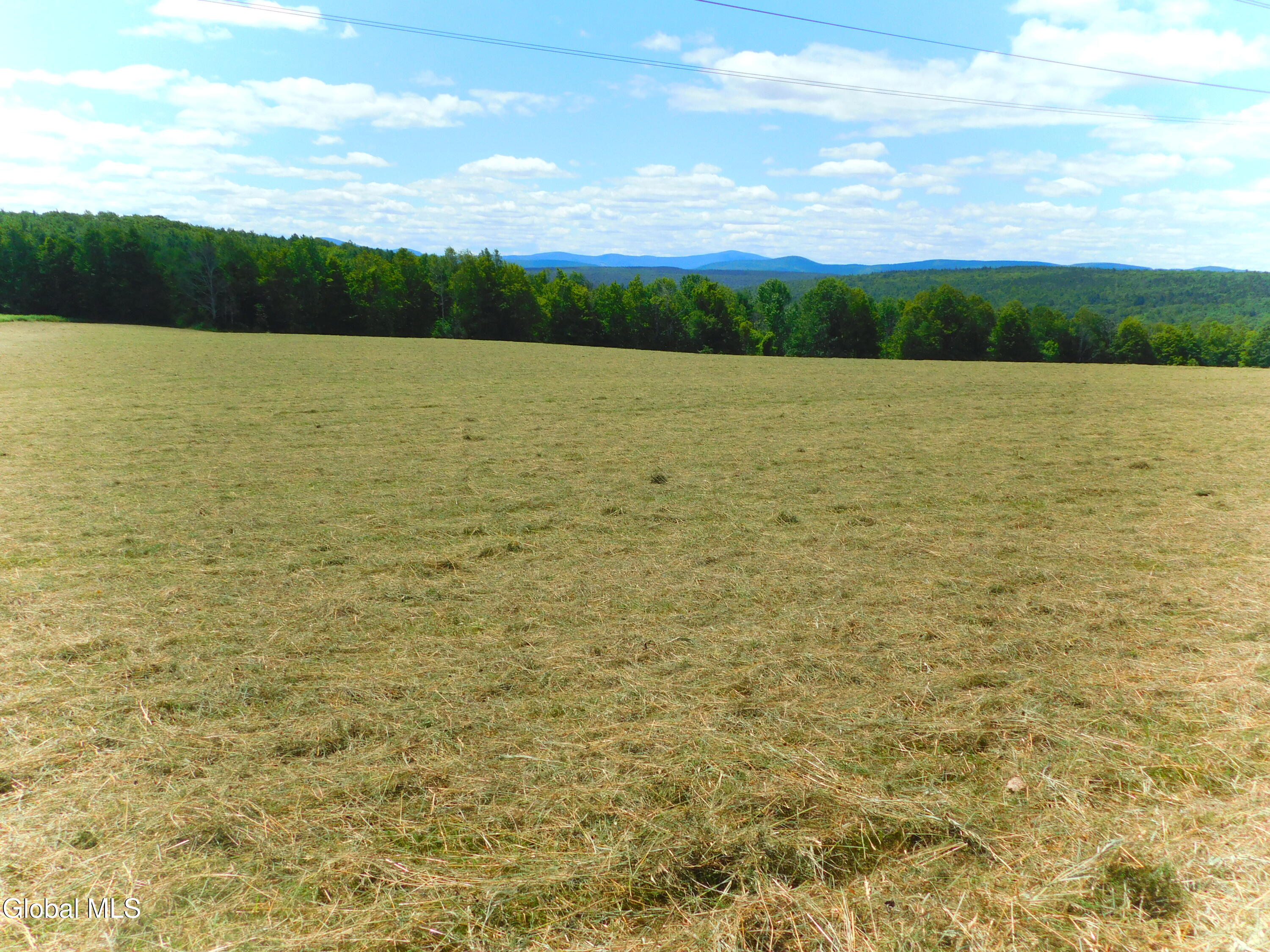 333 Ridge Road Broome, NY 12122 - Photo 29 of 30 DSCN9812