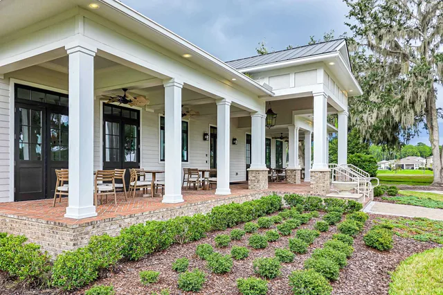 a view of a park with plants and large trees