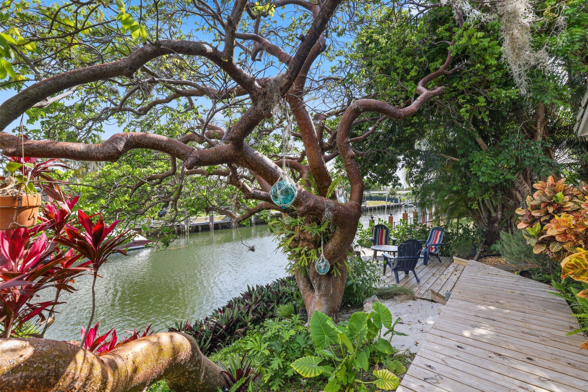 784 Dover Street Boca Raton, FL 33487 - Photo 58 of 78 a backyard of a house with table and chairs under an umbrella