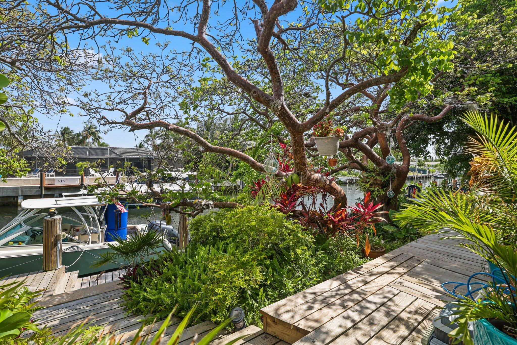 784 Dover Street Boca Raton, FL 33487 - Photo 60 of 78 784 Dover St - 55.jpg-SMALL