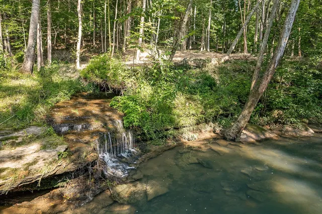 $1,795,000 | 250 West Laurel Avenue, McMinnville, TN 37110