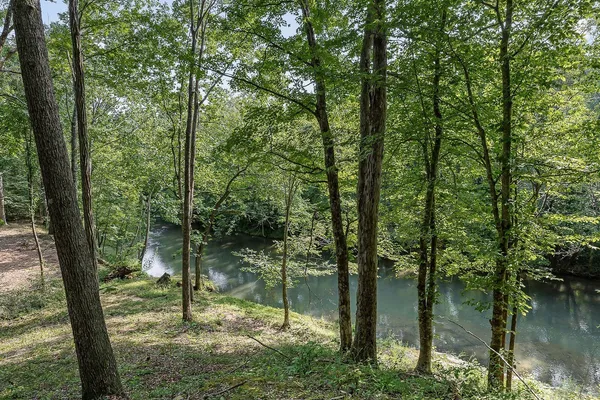 $1,499,000 | 250 West Laurel Avenue, McMinnville, TN 37110