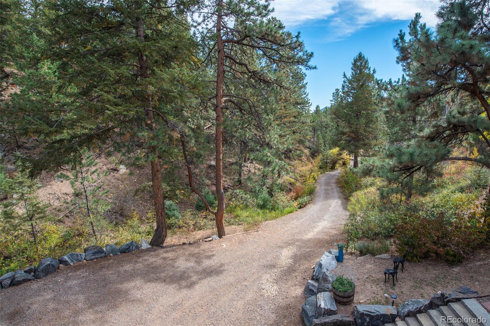 601 Pika Road Boulder, CO 80302 - Photo 26 of 30 a view of a forest with trees