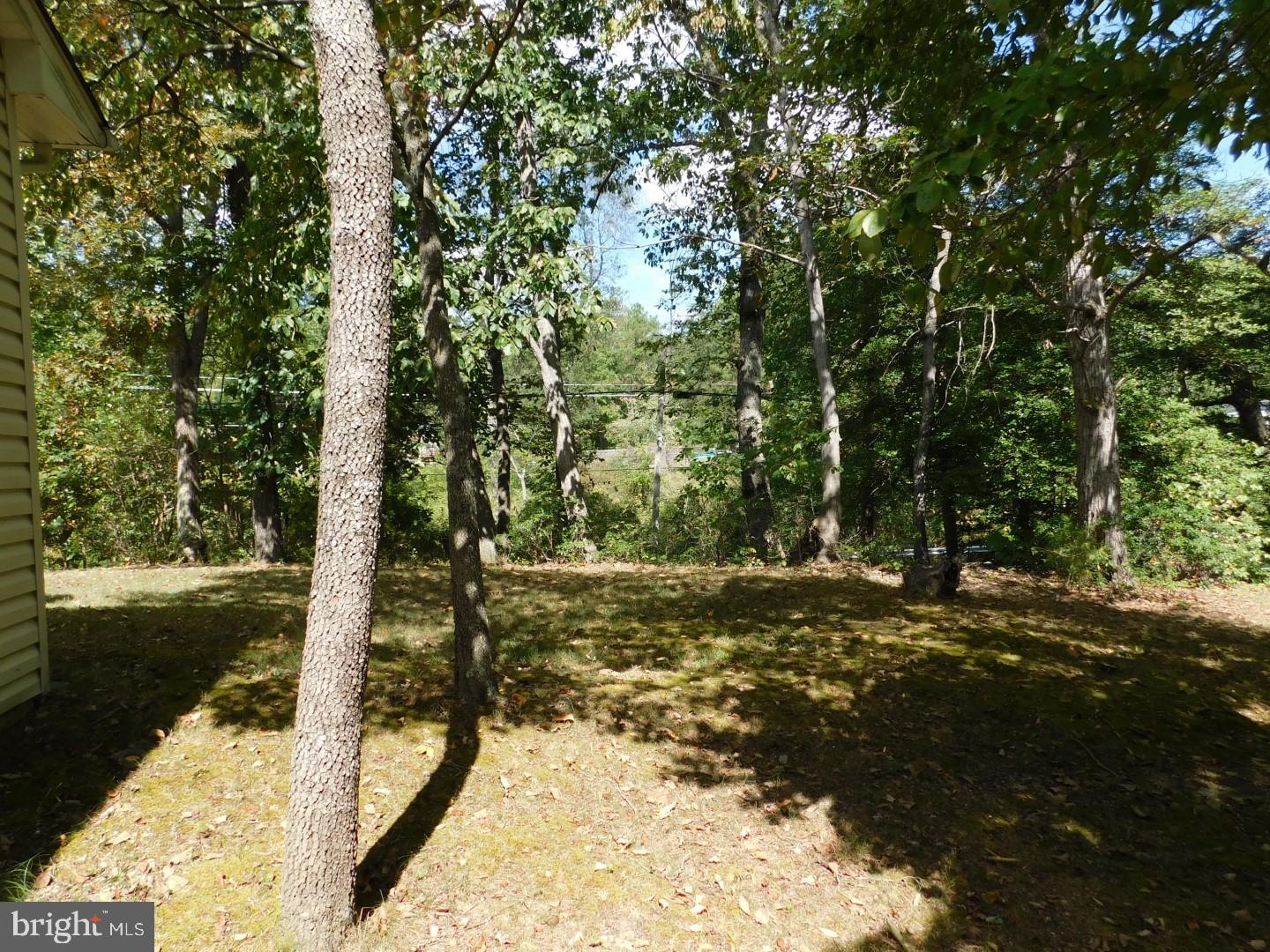 44297 Clarkes Landing Road Hollywood, MD 20636 - Photo 7 of 29 Backyard