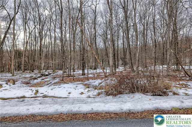 a view of a field with trees in the background