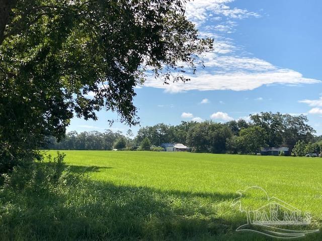 500-block Jordan Road Flomaton, AL 36441 - Photo 6 of 13