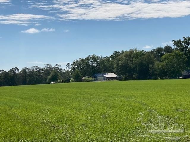 500-block Jordan Road Flomaton, AL 36441 - Photo 7 of 13