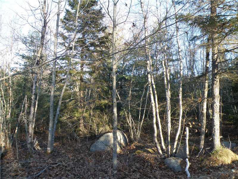 0 Flatlander And Crotch Roads Cherryfield, ME 04622 - Photo 12 of 17 Land/Lot. Interior
