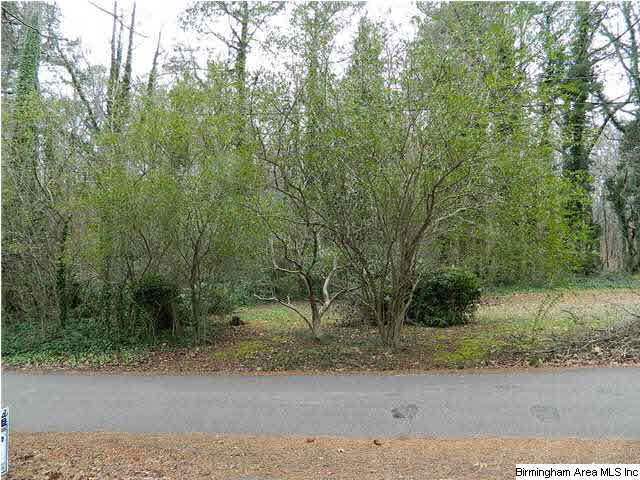 8983 Jade Lake Road West Pinson, AL 35126 - Photo 17 of 19