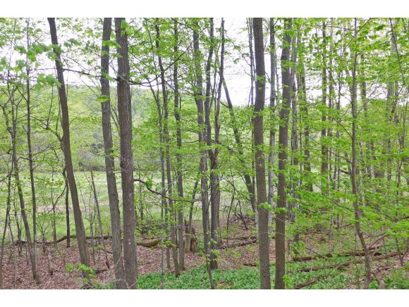 4300 Hinesburg Road Williston, VT 05495 - Photo 31 of 36 Gallery Image 31