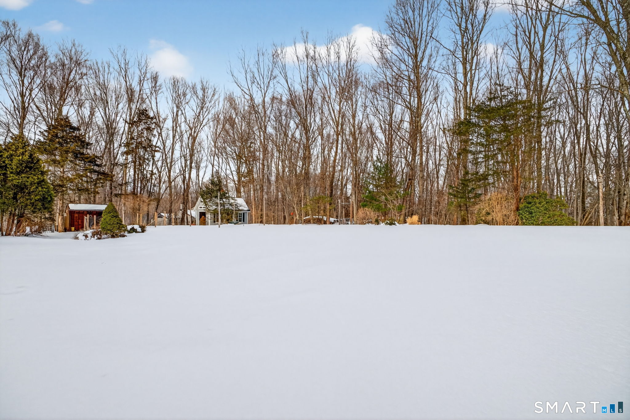 149 Ford Road Woodbridge, CT 06525 - Photo 38 of 41 LEVEL REAR YARD. POTENTIAL FOR POOL OR TENNIS COURT