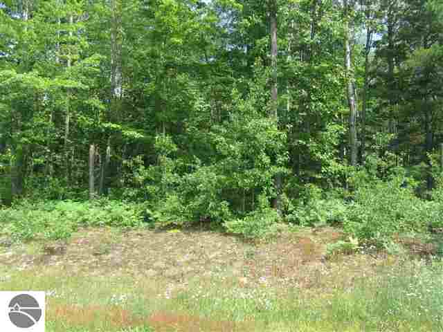 1895 Round Lake Road, Unit LOT: 8 Interlochen, MI 49643 - Photo 1 of 5