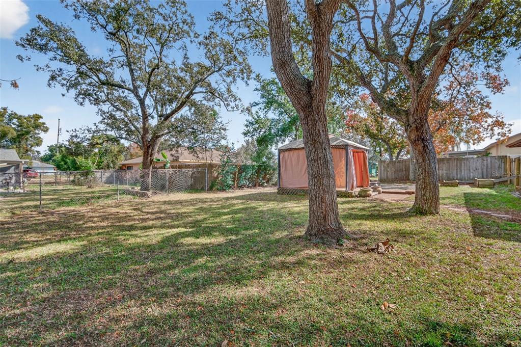 7157 Landmark Drive Spring Hill, FL 34606 - Photo 50 of 57 a tree in the garden of a house