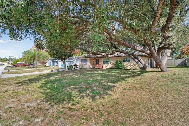 a view of street view