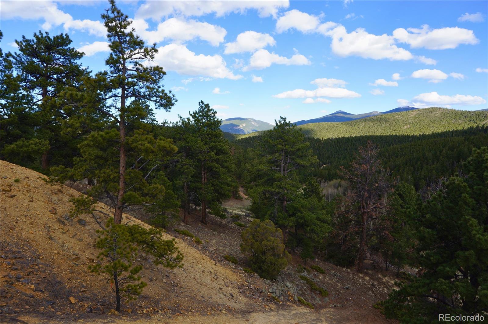 0 Turkey Gulch Road Dumont, CO 80436 - Photo 27 of 50 Gallery Image 27