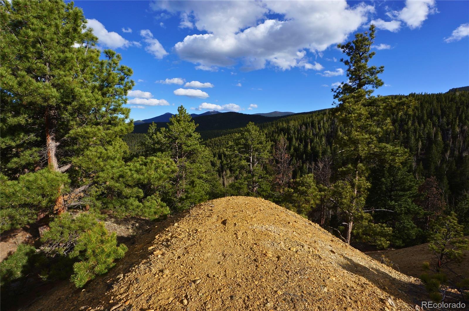 0 Turkey Gulch Road Dumont, CO 80436 - Photo 28 of 50 Gallery Image 28