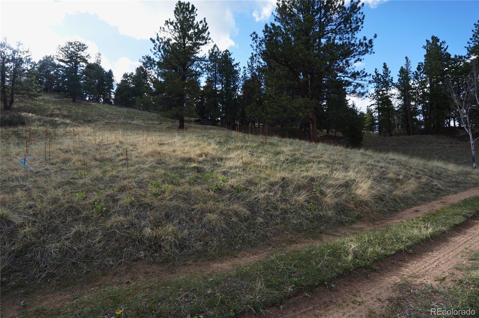 0 Turkey Gulch Road Dumont, CO 80436 - Photo 29 of 50 Gallery Image 29