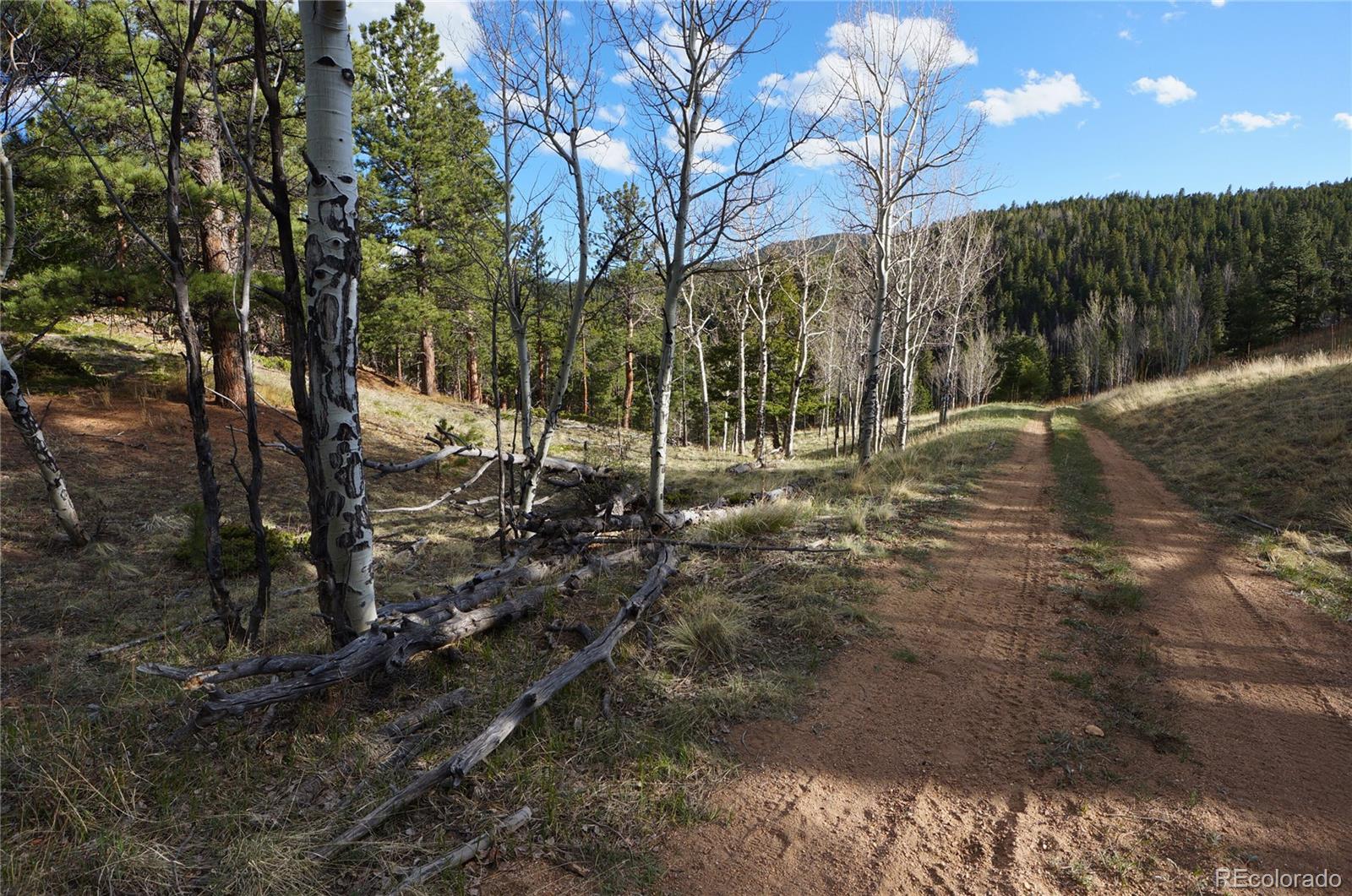 0 Turkey Gulch Road Dumont, CO 80436 - Photo 3 of 50 Gallery Image 3