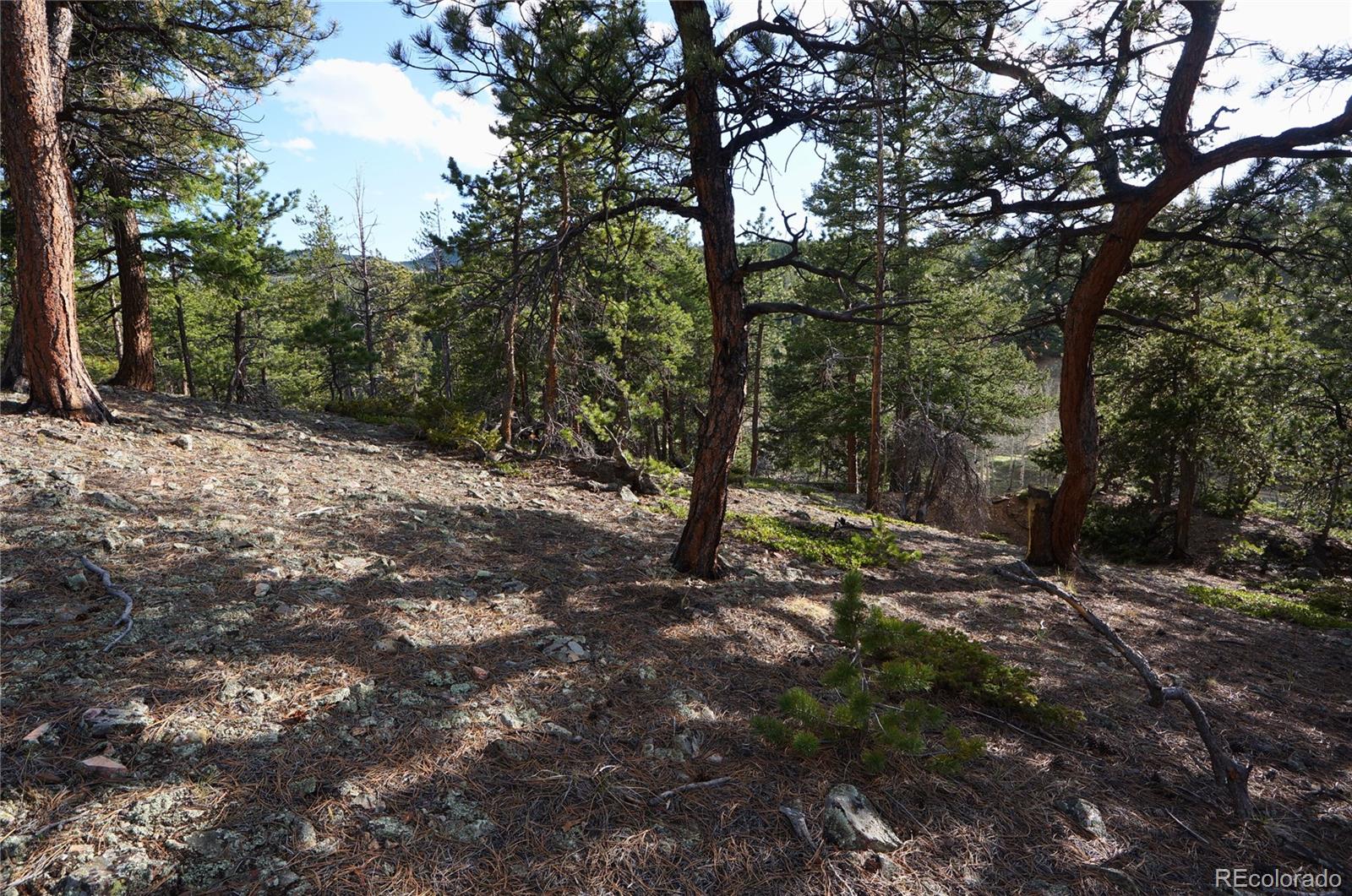 0 Turkey Gulch Road Dumont, CO 80436 - Photo 31 of 50 Gallery Image 31