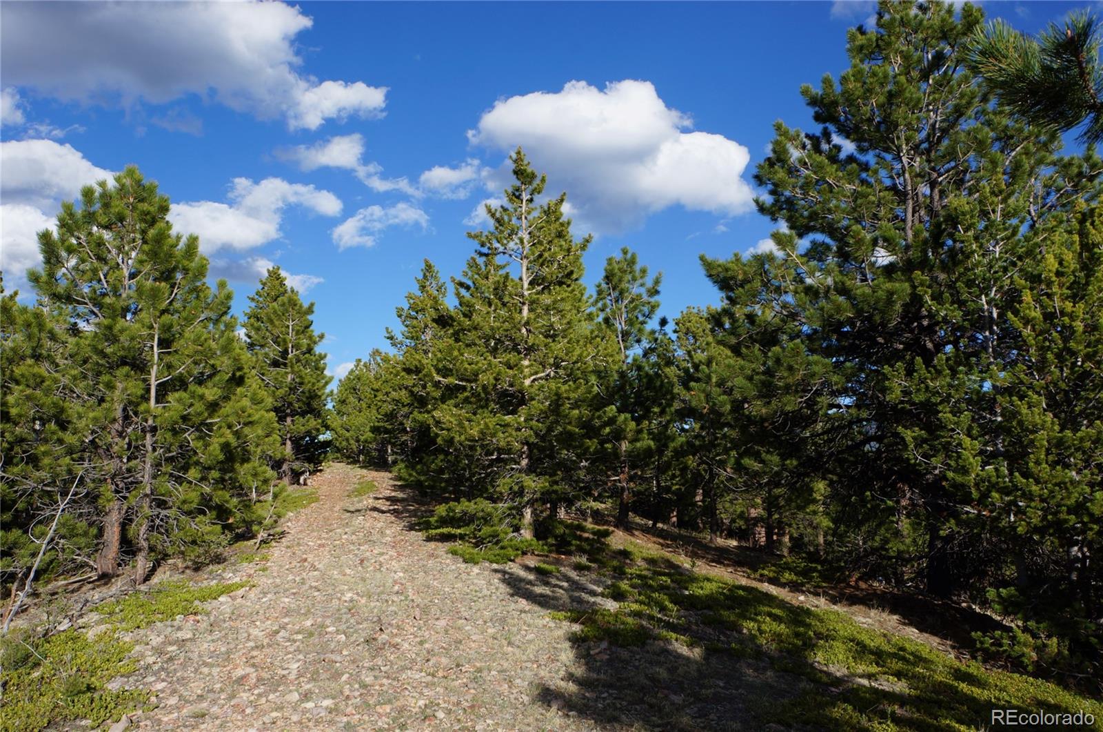 0 Turkey Gulch Road Dumont, CO 80436 - Photo 34 of 50 Gallery Image 34