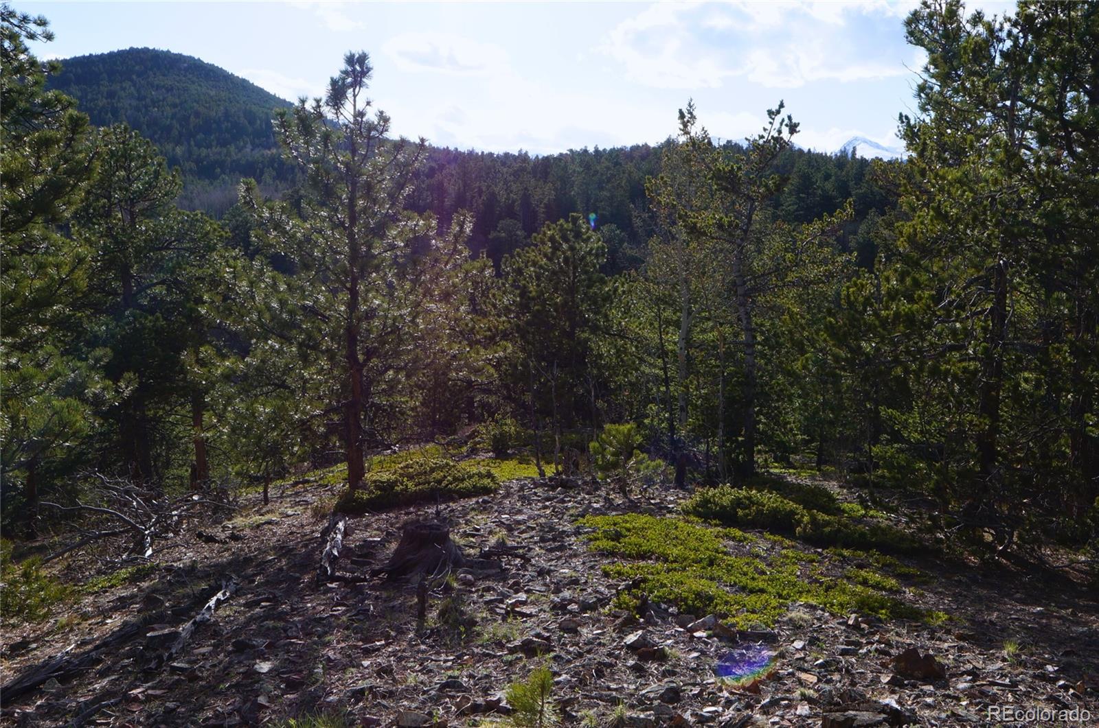 0 Turkey Gulch Road Dumont, CO 80436 - Photo 36 of 50 Gallery Image 36