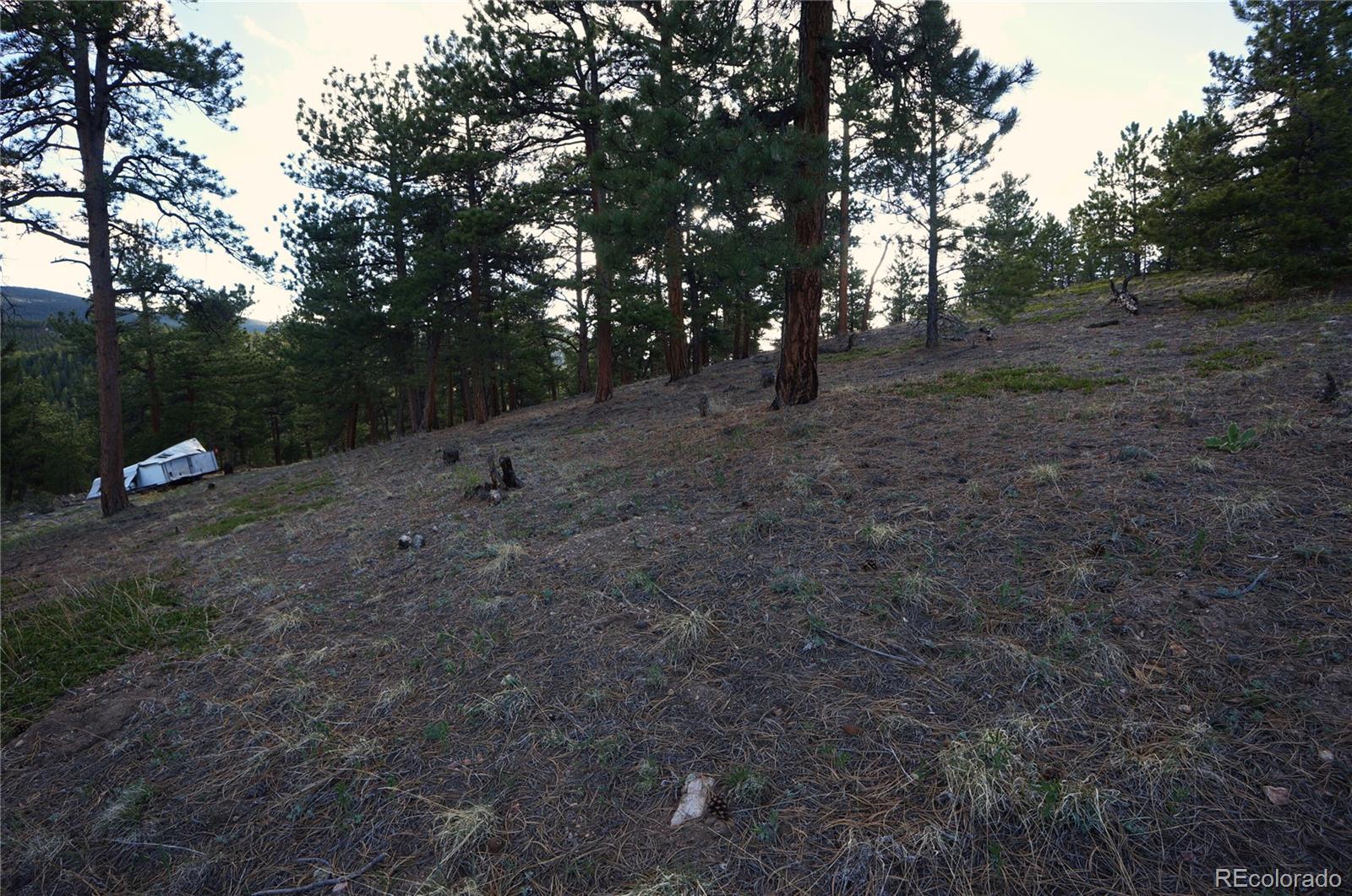 0 Turkey Gulch Road Dumont, CO 80436 - Photo 41 of 50 Gallery Image 41