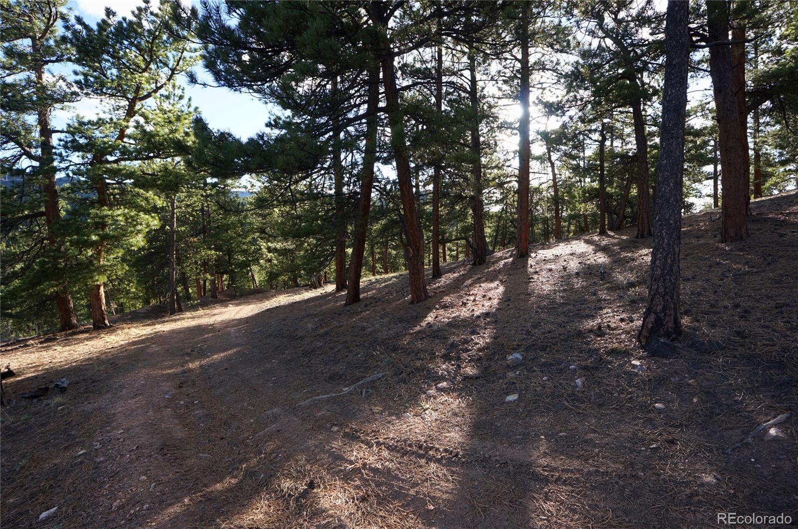 0 Turkey Gulch Road Dumont, CO 80436 - Photo 42 of 50 Gallery Image 42