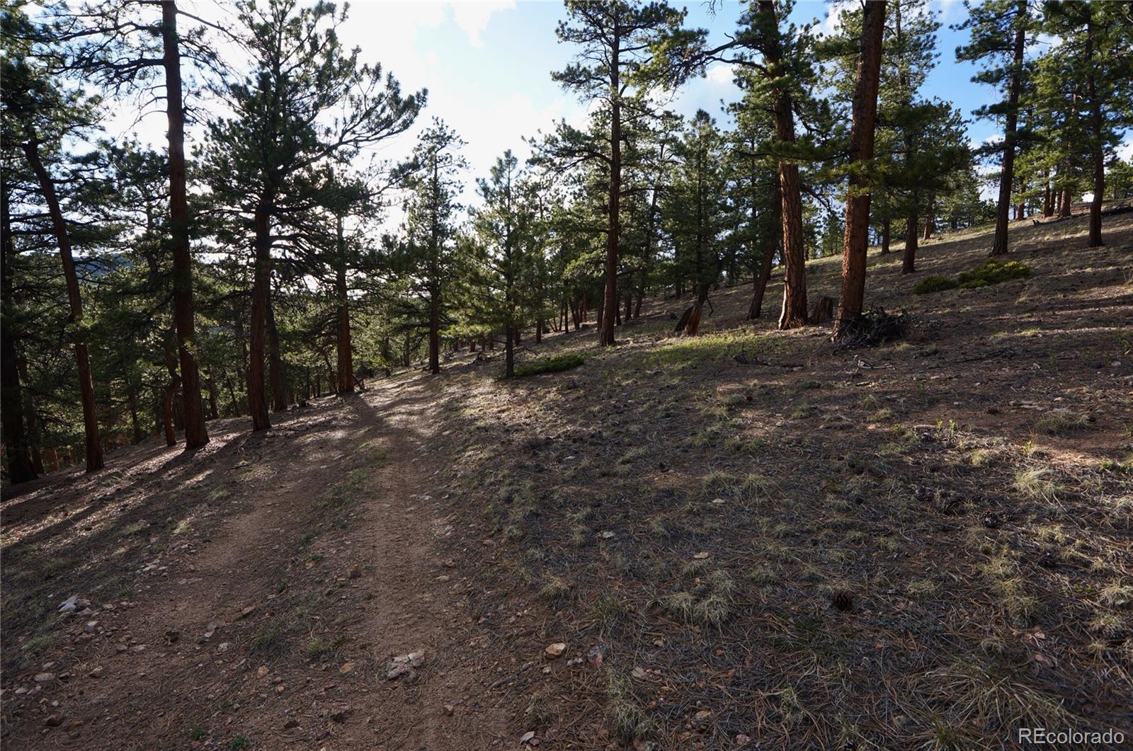 0 Turkey Gulch Road Dumont, CO 80436 - Photo 44 of 50 Gallery Image 44