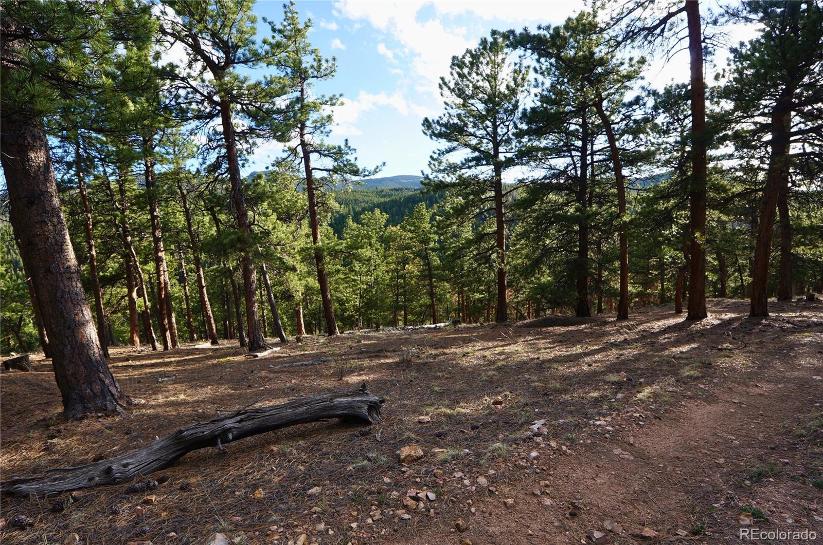 0 Turkey Gulch Road Dumont, CO 80436 - Photo 45 of 50 Gallery Image 45
