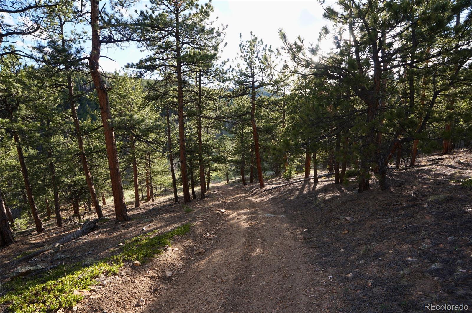 0 Turkey Gulch Road Dumont, CO 80436 - Photo 47 of 50 Gallery Image 47