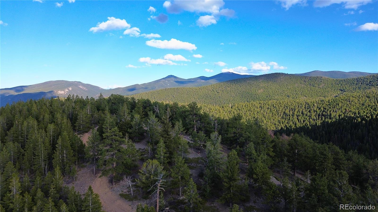 0 Turkey Gulch Road Dumont, CO 80436 - Photo 49 of 50 Gallery Image 49