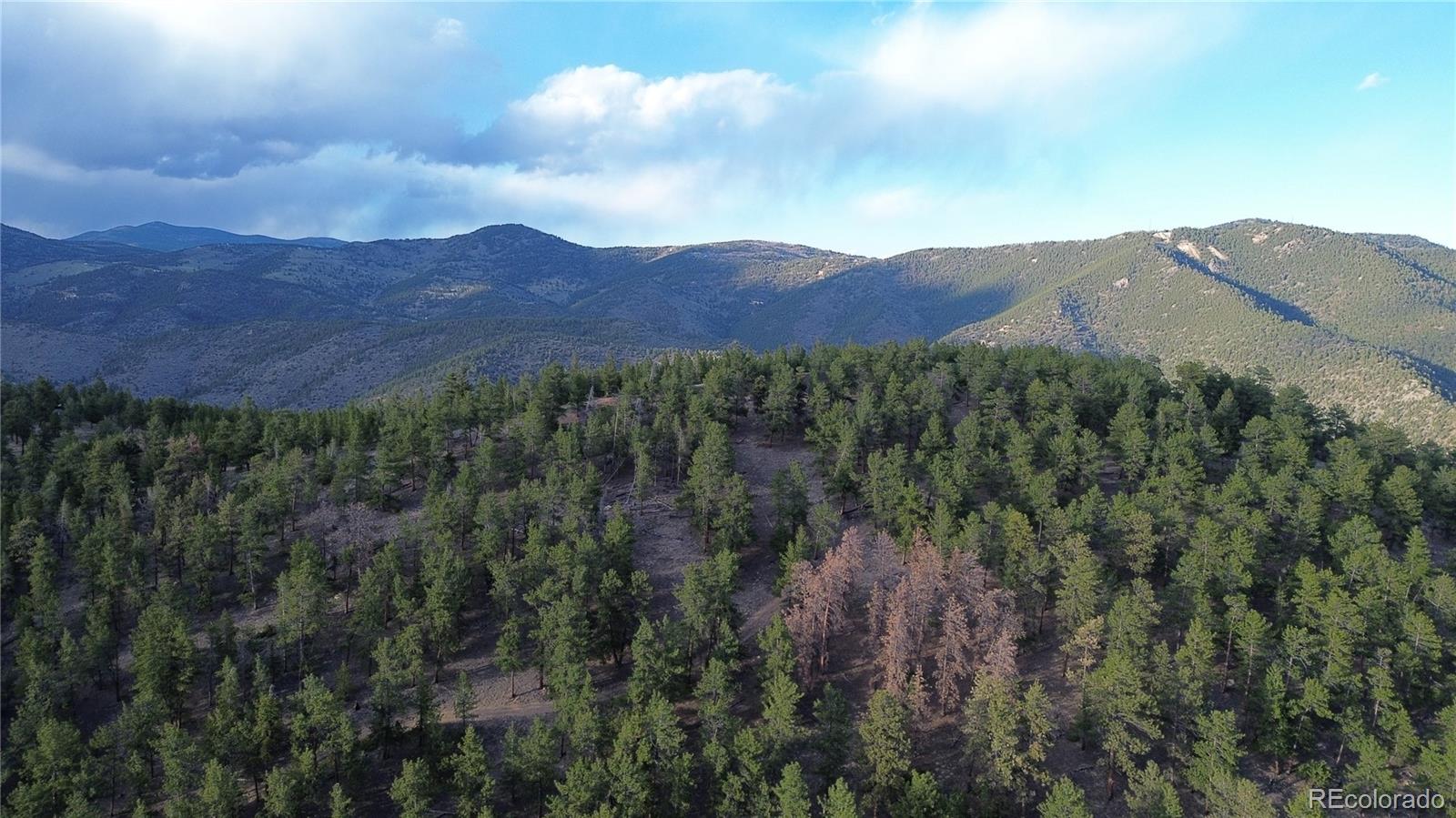 0 Turkey Gulch Road Dumont, CO 80436 - Photo 6 of 50 Gallery Image 6