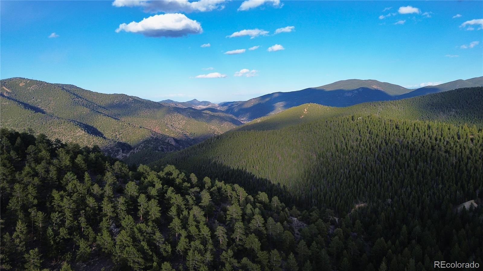 0 Turkey Gulch Road Dumont, CO 80436 - Photo 7 of 50 Gallery Image 7