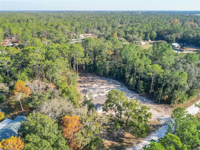 a view of a garden with trees