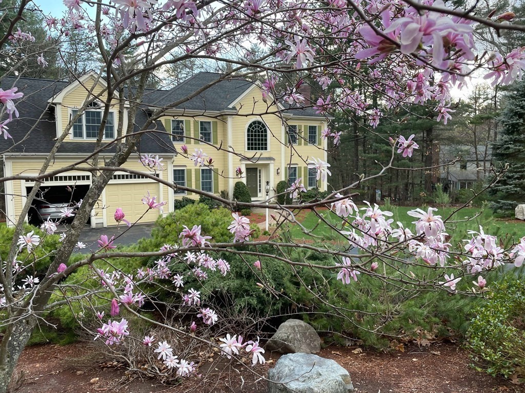 12 Page Road Bedford, MA 01730 - Photo 34 of 40 Gallery Image 34