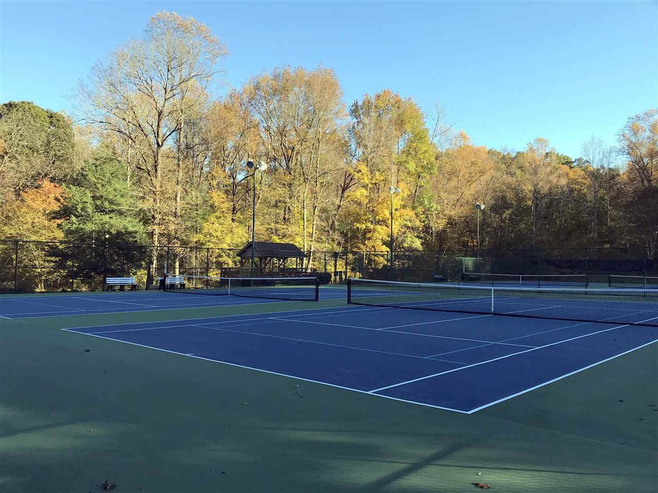 10033 Old Warden Road Raleigh, NC 27615 - Photo 30 of 30 Community Tennis