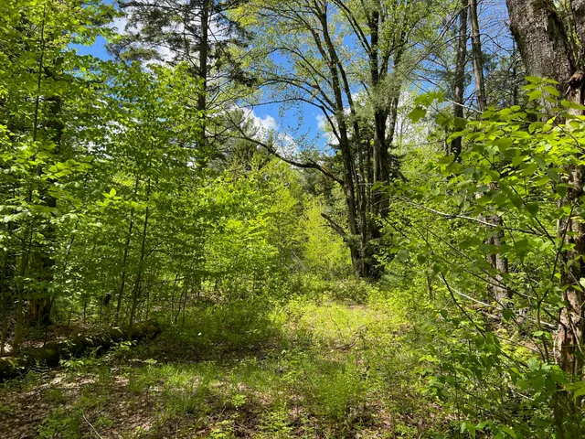 $250,000 | 0 Bragg Hill Road, Unit 3, Waitsfield, VT 05673