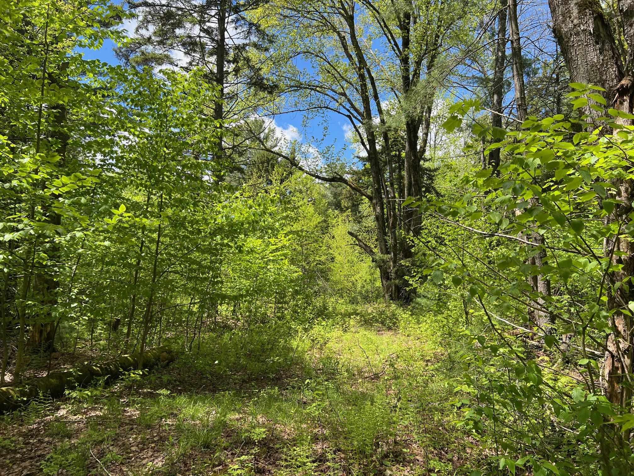 0 Bragg Hill Road, Unit 3 Waitsfield, VT 05673 - Photo 1 of 18