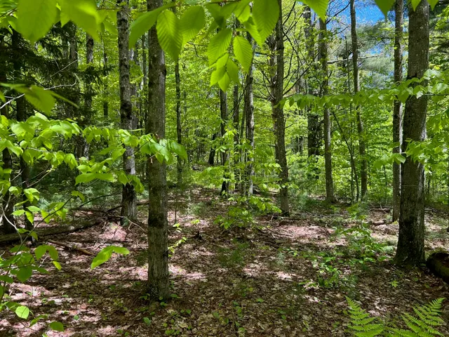 $250,000 | 0 Bragg Hill Road, Unit 3, Waitsfield, VT 05673