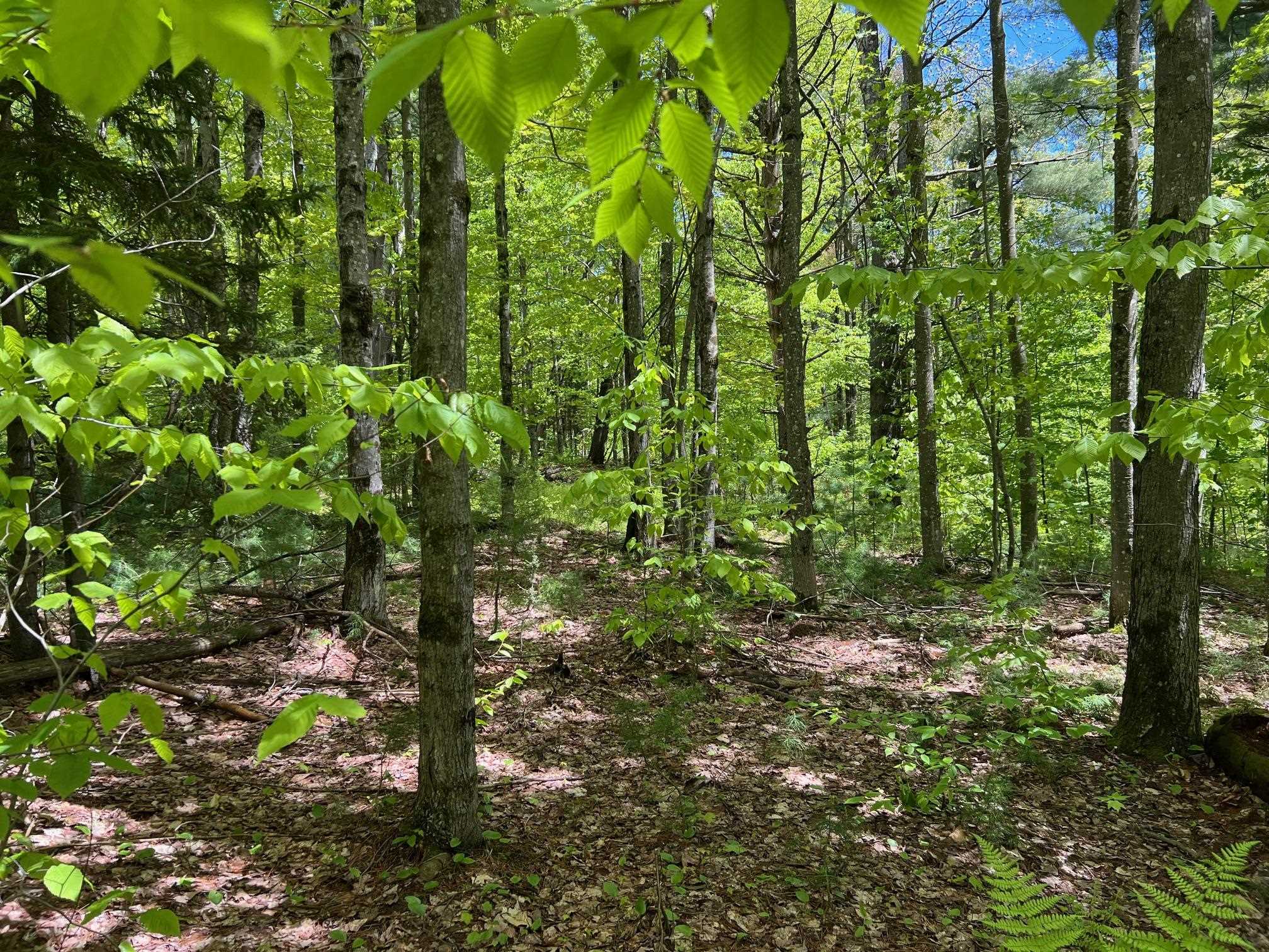 0 Bragg Hill Road, Unit 3 Waitsfield, VT 05673 - Photo 11 of 18