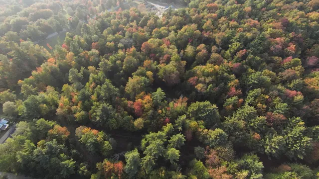 $250,000 | 0 Bragg Hill Road, Unit 3, Waitsfield, VT 05673