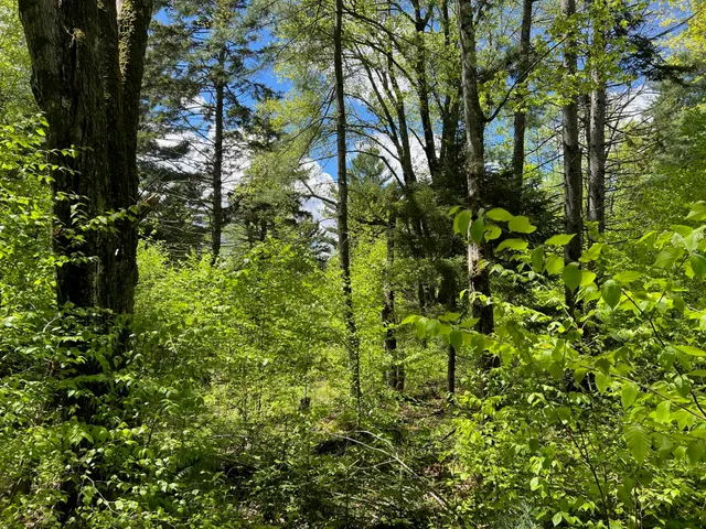 $250,000 | 0 Bragg Hill Road, Unit 3, Waitsfield, VT 05673