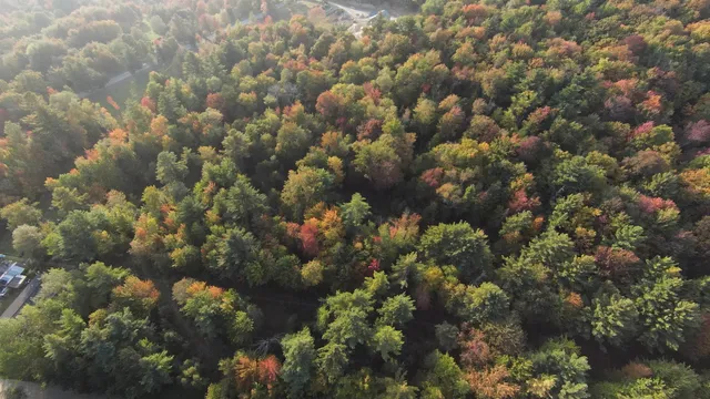 $250,000 | 0 Bragg Hill Road, Unit 3, Waitsfield, VT 05673