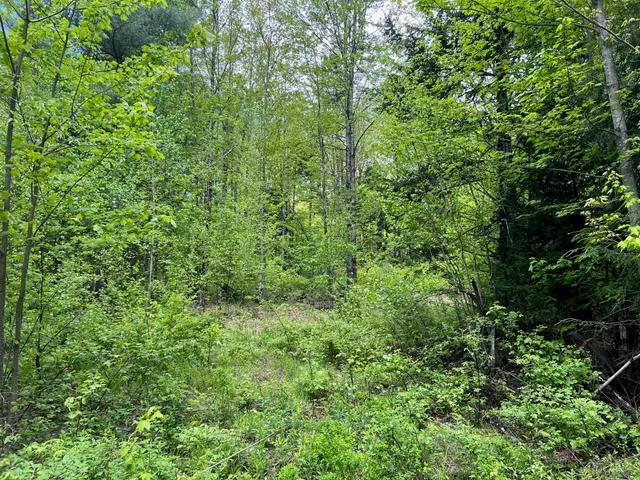 $250,000 | 0 Bragg Hill Road, Unit 3, Waitsfield, VT 05673