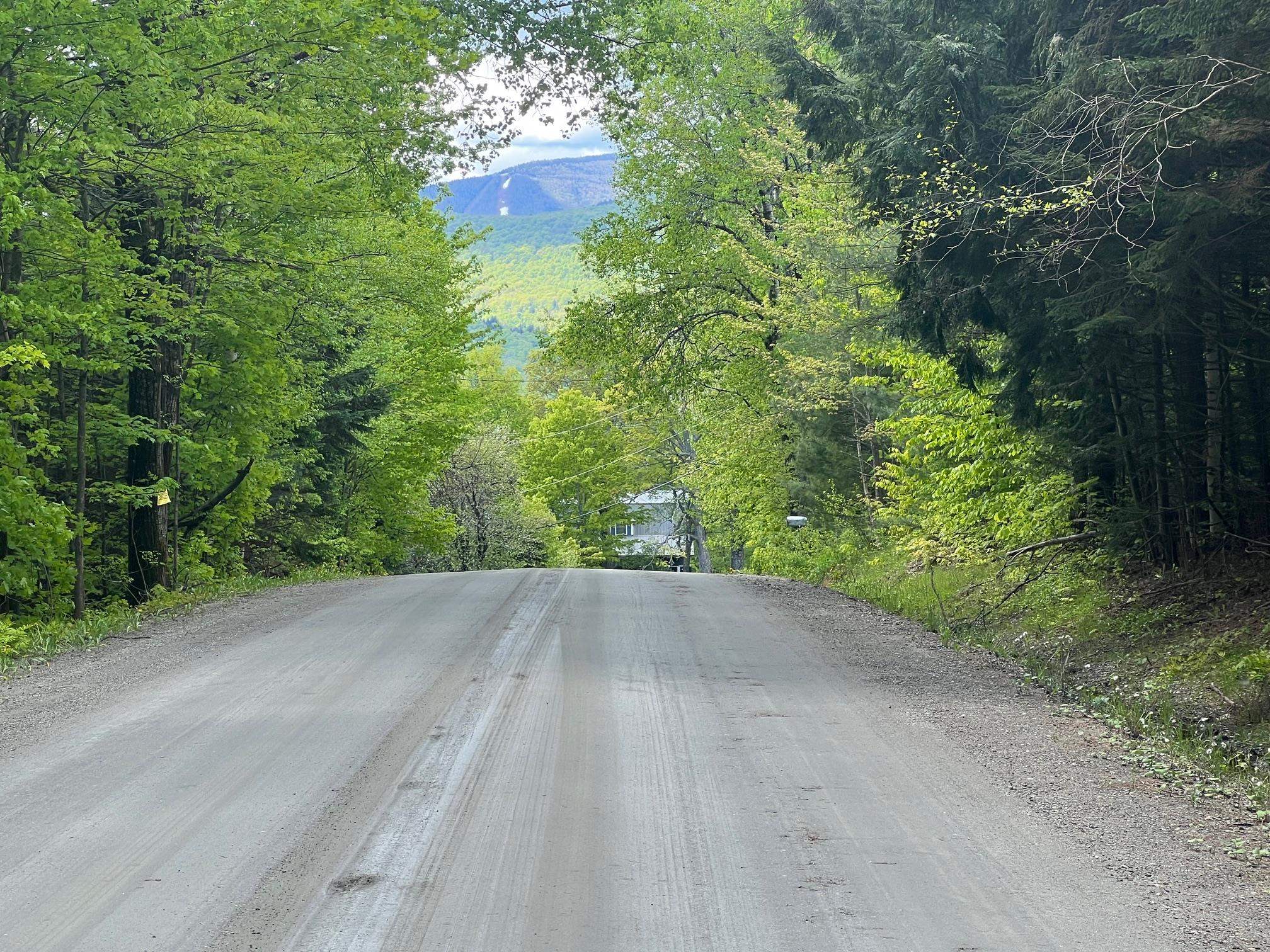 0 Bragg Hill Road, Unit 3 Waitsfield, VT 05673 - Photo 3 of 18
