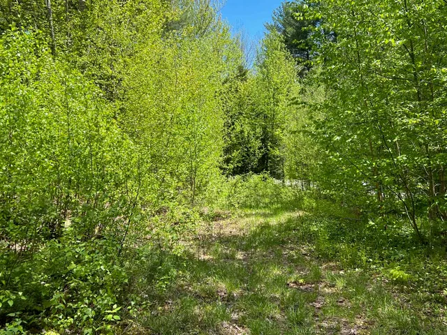 $250,000 | 0 Bragg Hill Road, Unit 3, Waitsfield, VT 05673