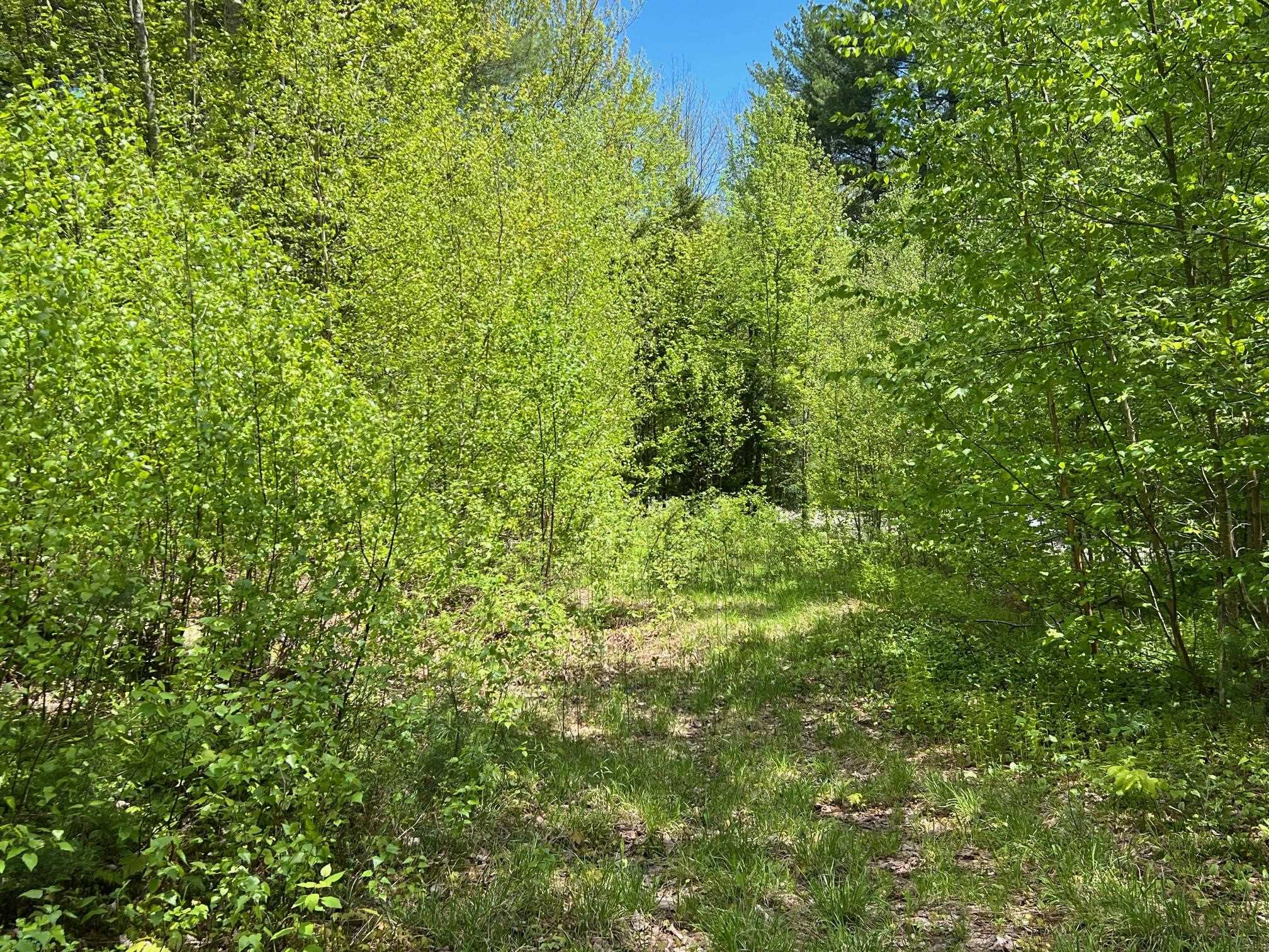 0 Bragg Hill Road, Unit 3 Waitsfield, VT 05673 - Photo 10 of 18