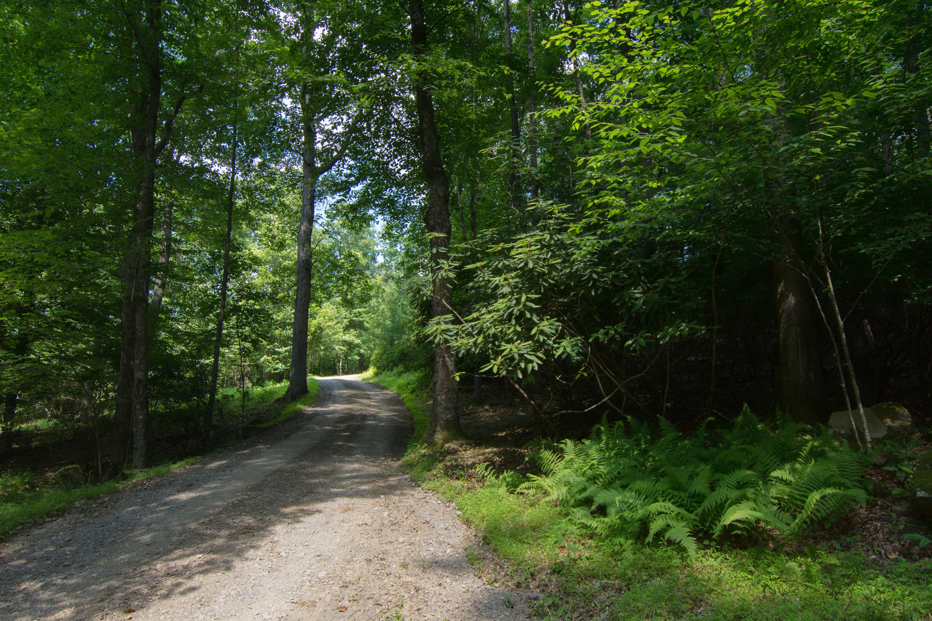 530 Sinking Creek Road Crawley, WV 24931 - Photo 58 of 61 Gallery Image 58