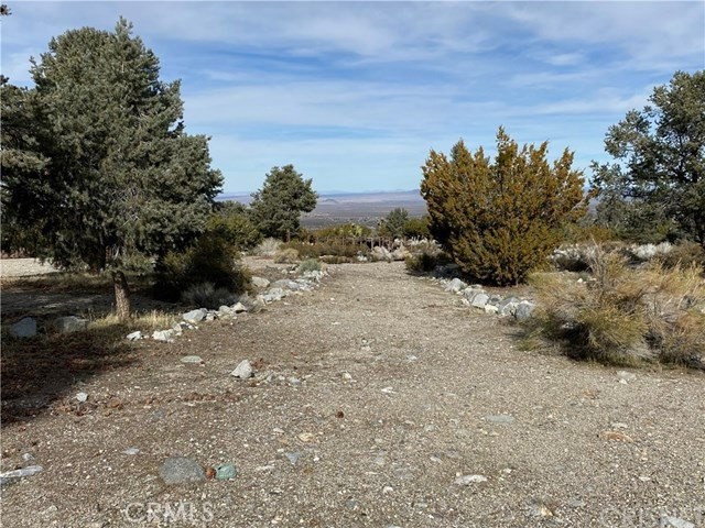 0 Vac Vic Pines Llano, CA 93544 - Photo 4 of 4