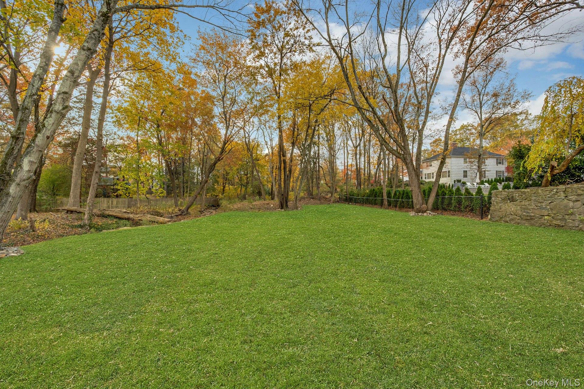 32 Sycamore Road Scarsdale, NY 10583 - Photo 4 of 48 View of yard